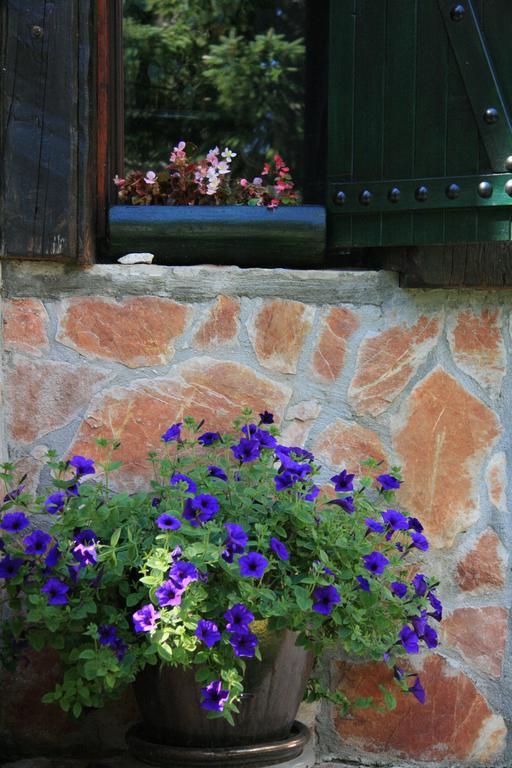 Durmitor Chalet ชาเบลียค ห้อง รูปภาพ