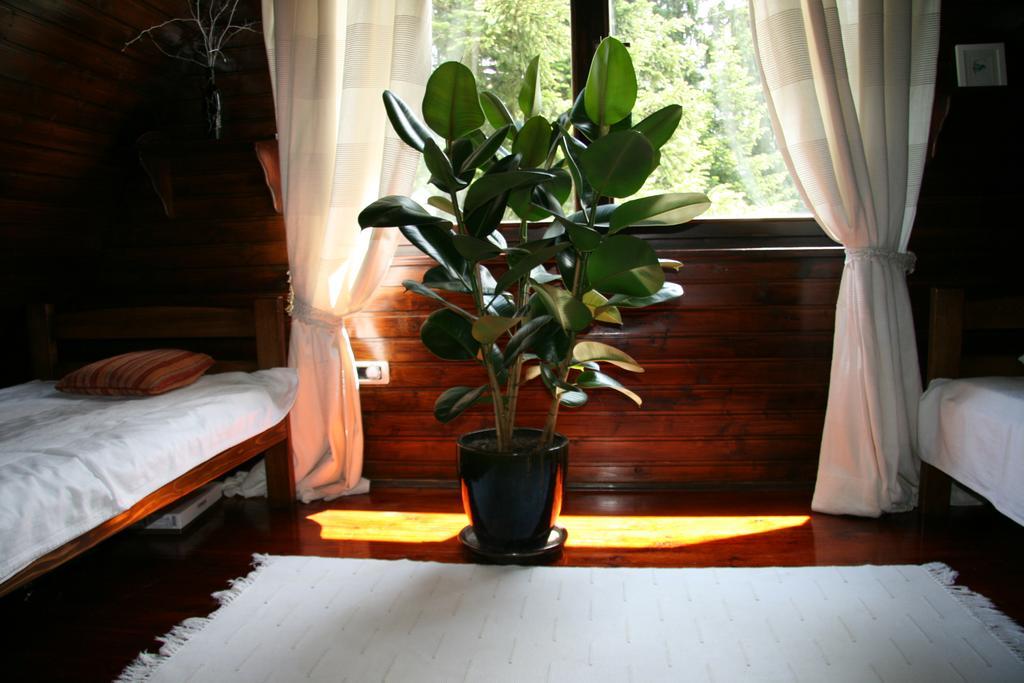 Durmitor Chalet ชาเบลียค ภายนอก รูปภาพ