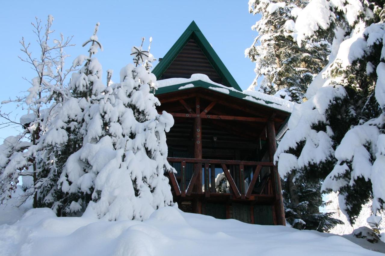 Durmitor Chalet ชาเบลียค ภายนอก รูปภาพ